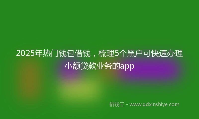 2025年热门钱包借钱，梳理5个黑户可快速办理小额贷款业务的app