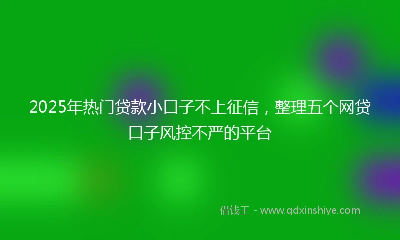 2025年热门贷款小口子不上征信，整理五个网贷口子风控不严的平台
