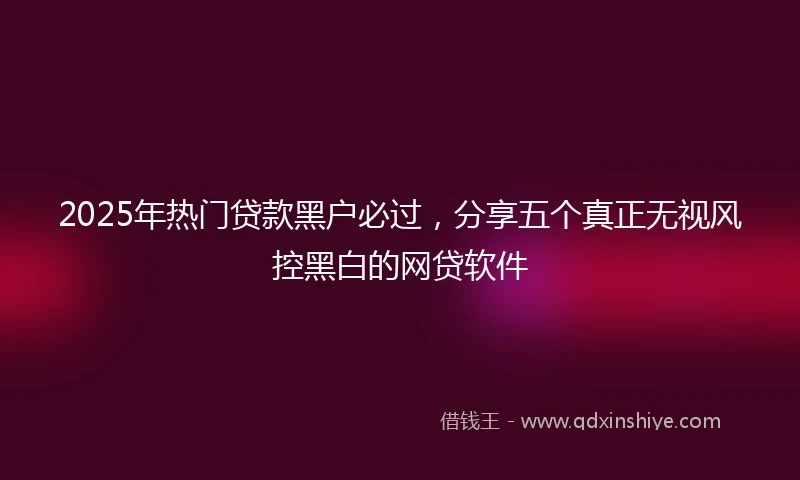 2025年热门贷款黑户必过，分享五个真正无视风控黑白的网贷软件