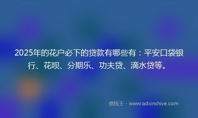 2025年的花户必下的贷款有哪些有：平安口袋银行、花呗、分期乐、功夫贷、滴水贷等。