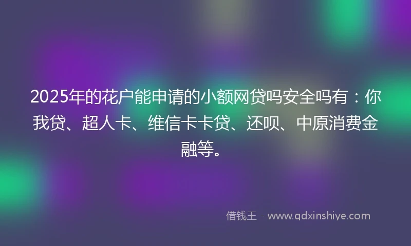 2025年的花户能申请的小额网贷吗安全吗有：你我贷、超人卡、维信卡卡贷、还呗、中原消费金融等。