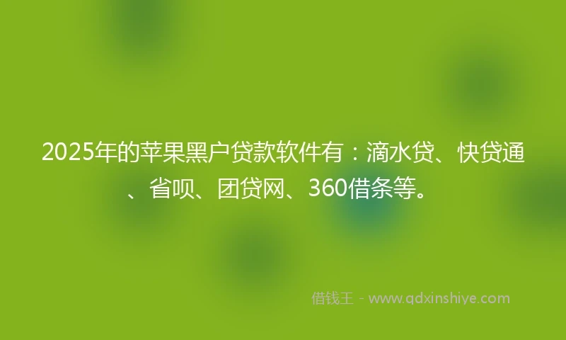 2025年的苹果黑户贷款软件有：滴水贷、快贷通、省呗、团贷网、360借条等。