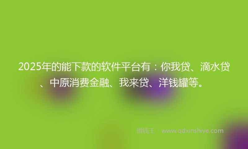 2025年的能下款的软件平台有：你我贷、滴水贷、中原消费金融、我来贷、洋钱罐等。