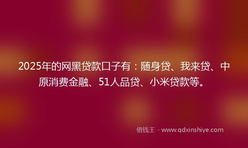 2025年的网黑贷款口子有：随身贷、我来贷、中原消费金融、51人品贷、小米贷款等。
