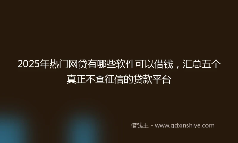 2025年热门网贷有哪些软件可以借钱，汇总五个真正不查征信的贷款平台