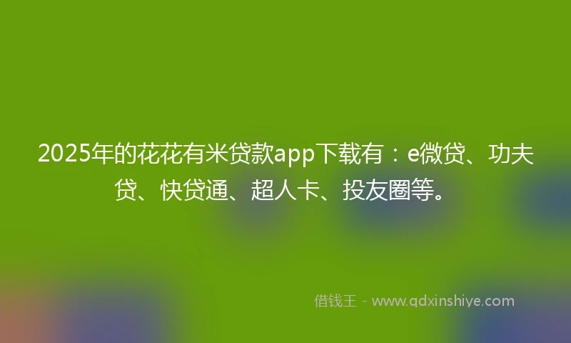 2025年的花花有米贷款app下载有：e微贷、功夫贷、快贷通、超人卡、投友圈等。