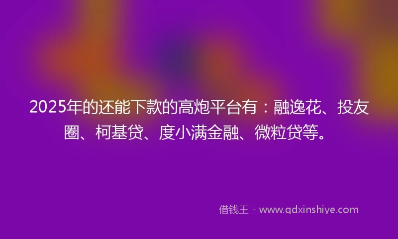 2025年的还能下款的高炮平台有：融逸花、投友圈、柯基贷、度小满金融、微粒贷等。