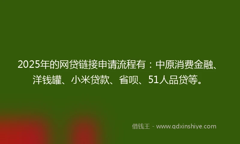 2025年的网贷链接申请流程有：中原消费金融、洋钱罐、小米贷款、省呗、51人品贷等。