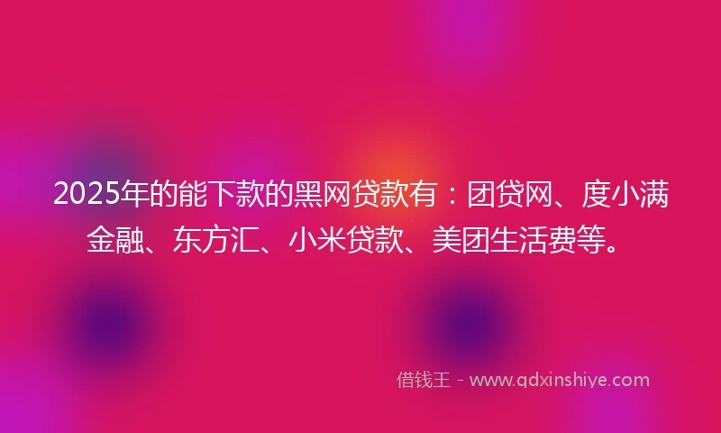 2025年的能下款的黑网贷款有：团贷网、度小满金融、东方汇、小米贷款、美团生活费等。