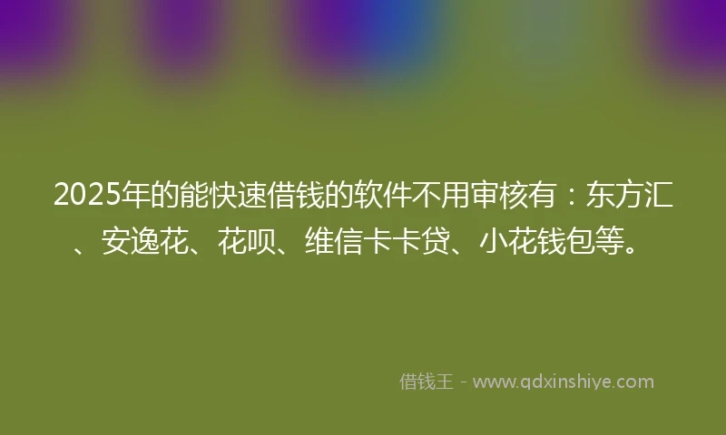 2025年的能快速借钱的软件不用审核有：东方汇、安逸花、花呗、维信卡卡贷、小花钱包等。