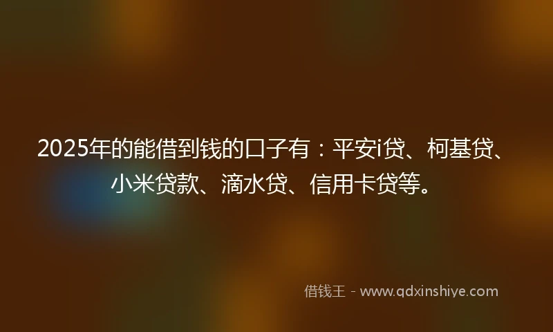 2025年的能借到钱的口子有：平安i贷、柯基贷、小米贷款、滴水贷、信用卡贷等。