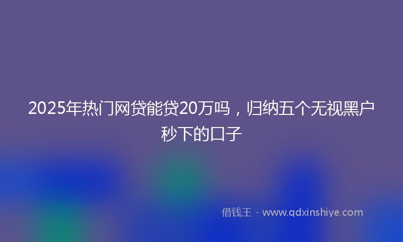 2025年热门网贷能贷20万吗，归纳五个无视黑户秒下的口子