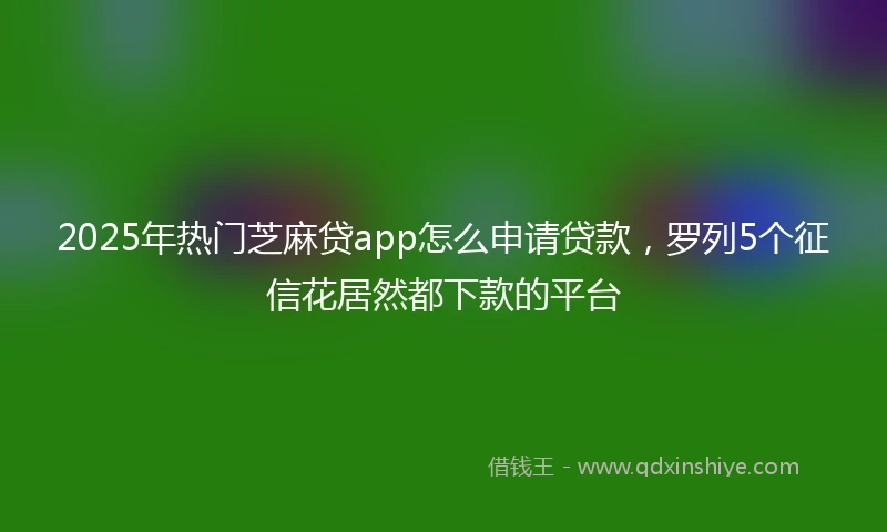 2025年热门芝麻贷app怎么申请贷款，罗列5个征信花居然都下款的平台