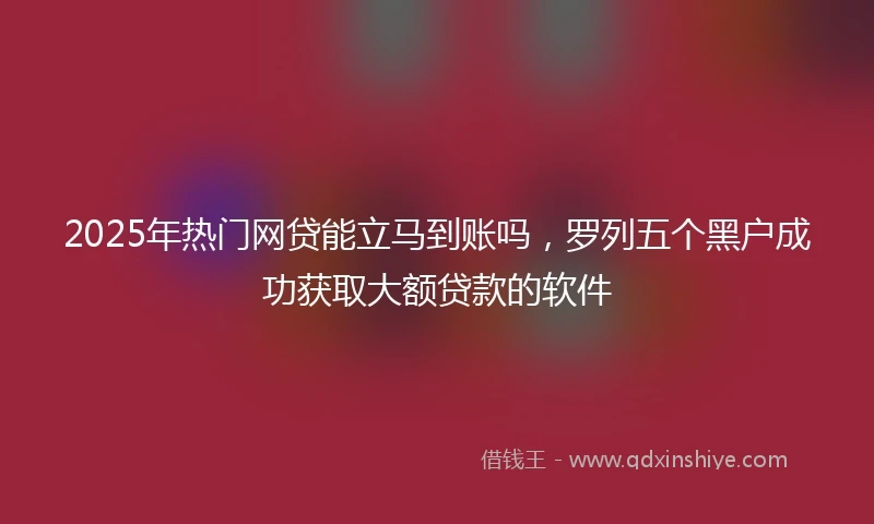 2025年热门网贷能立马到账吗，罗列五个黑户成功获取大额贷款的软件