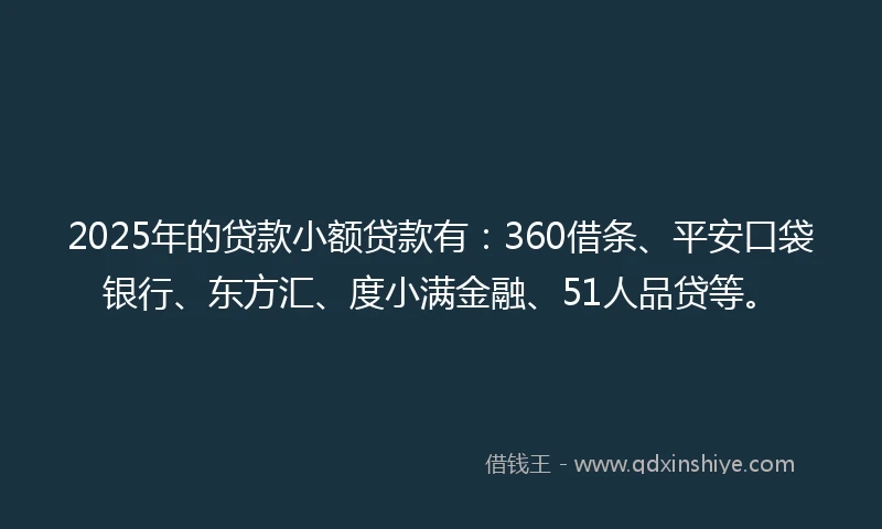 2025年的贷款小额贷款有：360借条、平安口袋银行、东方汇、度小满金融、51人品贷等。