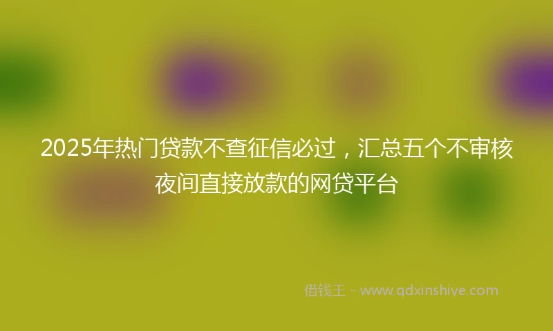 2025年热门贷款不查征信必过，汇总五个不审核夜间直接放款的网贷平台