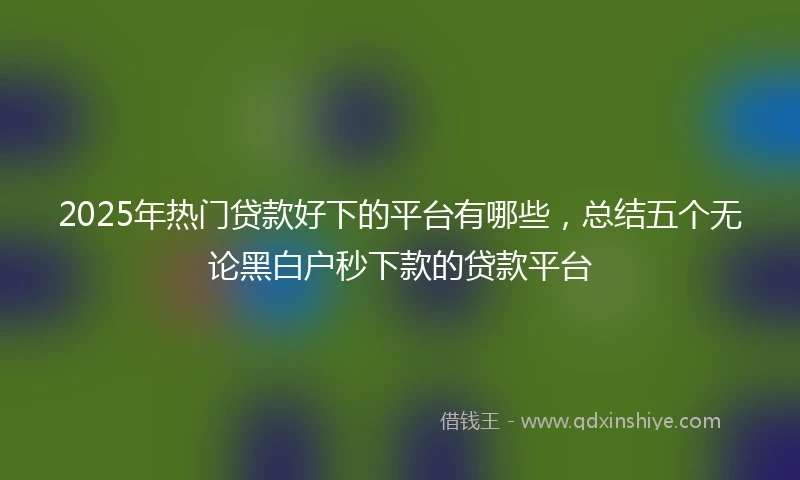 2025年热门贷款好下的平台有哪些，总结五个无论黑白户秒下款的贷款平台