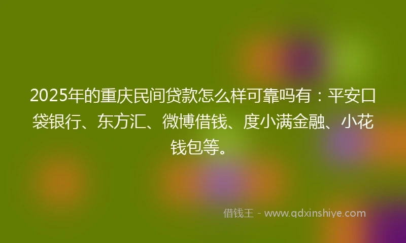 2025年的重庆民间贷款怎么样可靠吗有：平安口袋银行、东方汇、微博借钱、度小满金融、小花钱包等。