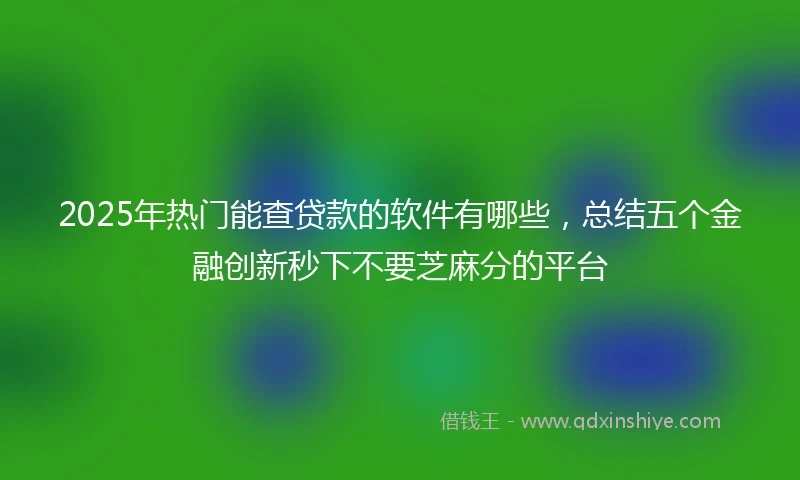 2025年热门能查贷款的软件有哪些，总结五个金融创新秒下不要芝麻分的平台
