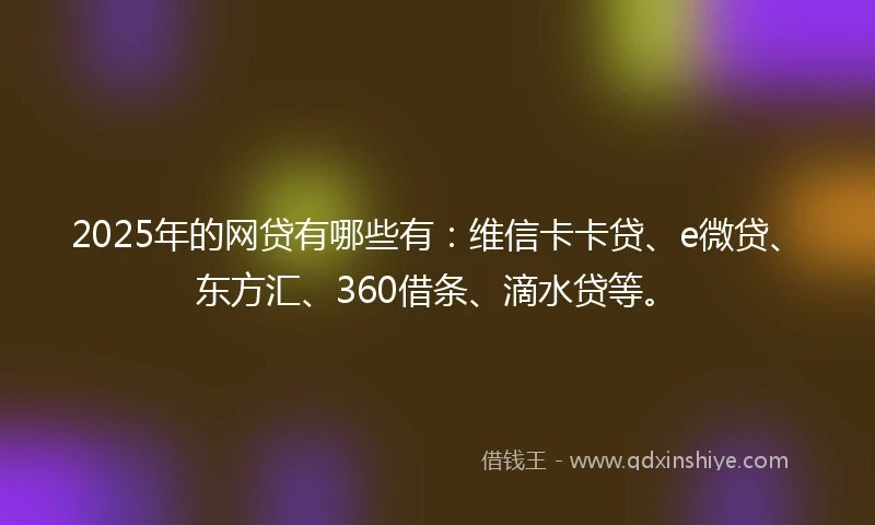 2025年的网贷有哪些有：维信卡卡贷、e微贷、东方汇、360借条、滴水贷等。