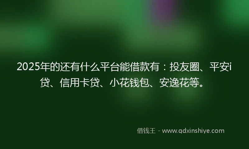 2025年的还有什么平台能借款有：投友圈、平安i贷、信用卡贷、小花钱包、安逸花等。