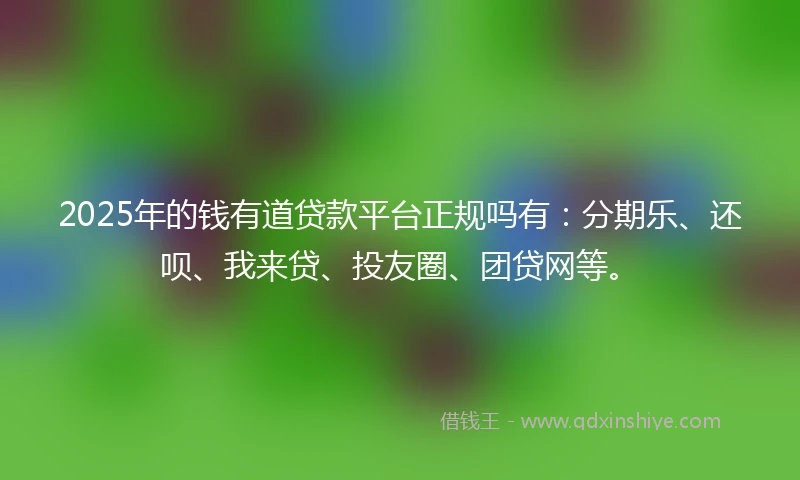 2025年的钱有道贷款平台正规吗有：分期乐、还呗、我来贷、投友圈、团贷网等。