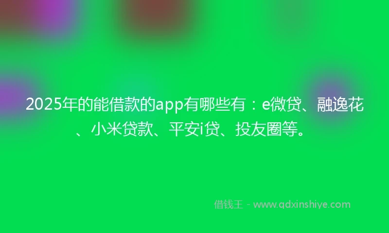 2025年的能借款的app有哪些有：e微贷、融逸花、小米贷款、平安i贷、投友圈等。