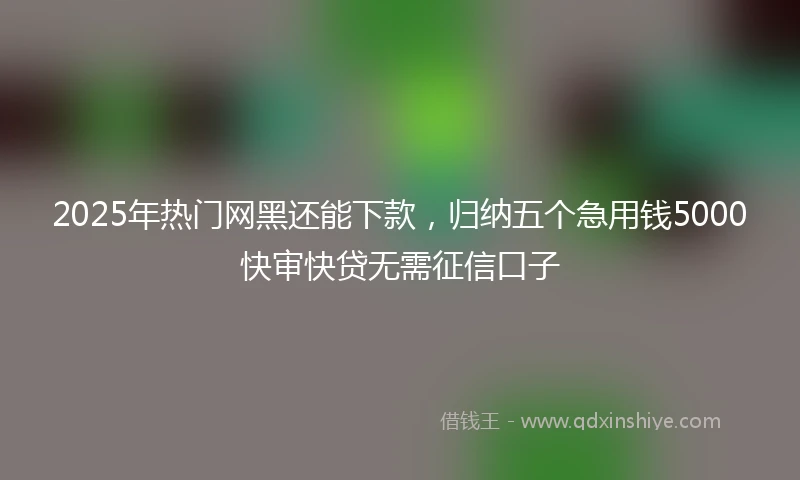 2025年热门网黑还能下款，归纳五个急用钱5000快审快贷无需征信口子