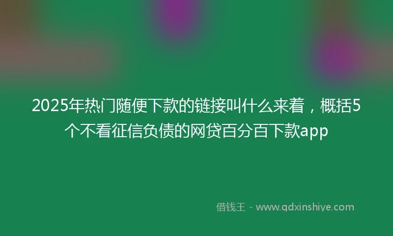 2025年热门随便下款的链接叫什么来着，概括5个不看征信负债的网贷百分百下款app