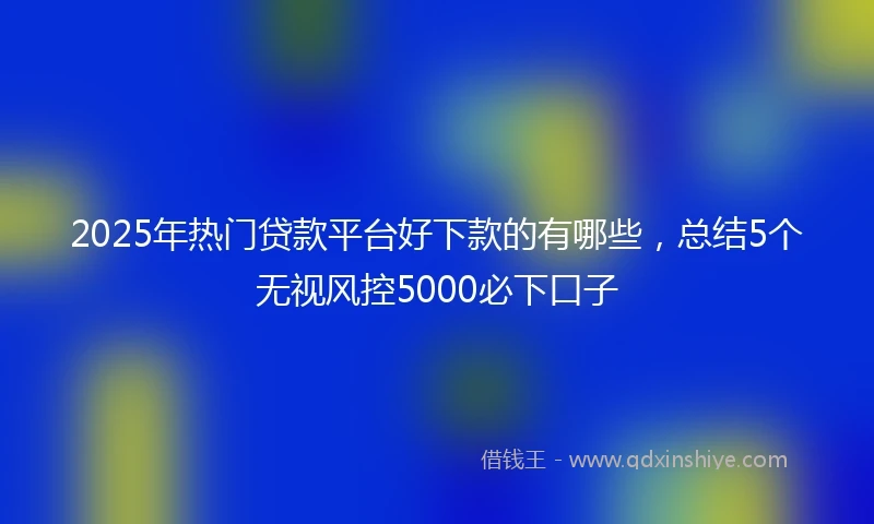 2025年热门贷款平台好下款的有哪些，总结5个无视风控5000必下口子