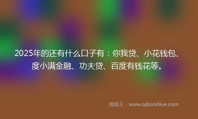 2025年的还有什么口子有：你我贷、小花钱包、度小满金融、功夫贷、百度有钱花等。