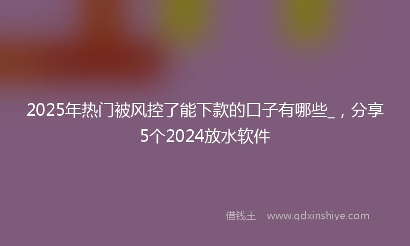 2025年热门被风控了能下款的口子有哪些_，分享5个2024放水软件