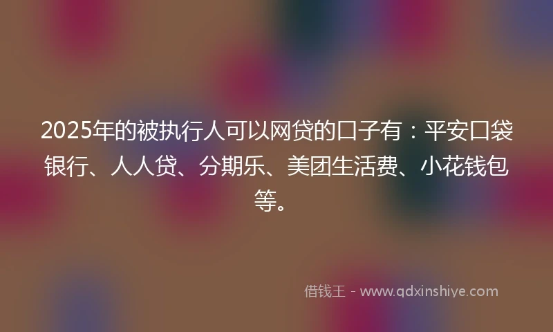 2025年的被执行人可以网贷的口子有：平安口袋银行、人人贷、分期乐、美团生活费、小花钱包等。