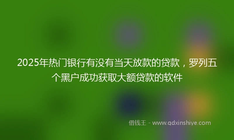 2025年热门银行有没有当天放款的贷款，罗列五个黑户成功获取大额贷款的软件