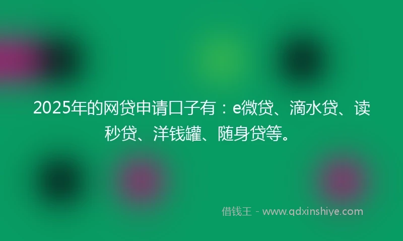 2025年的网贷申请口子有：e微贷、滴水贷、读秒贷、洋钱罐、随身贷等。
