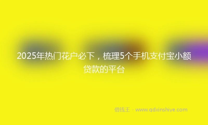 2025年热门花户必下，梳理5个手机支付宝小额贷款的平台