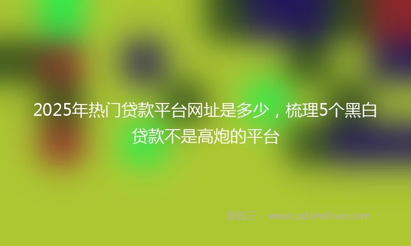 2025年热门贷款平台网址是多少，梳理5个黑白贷款不是高炮的平台