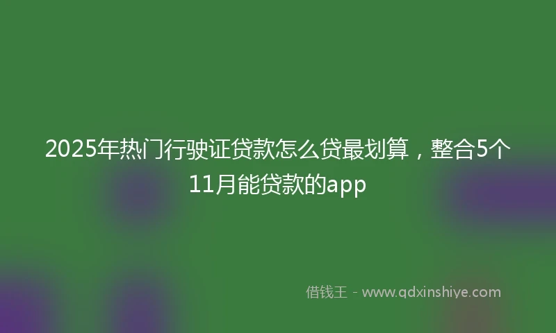 2025年热门行驶证贷款怎么贷最划算，整合5个11月能贷款的app