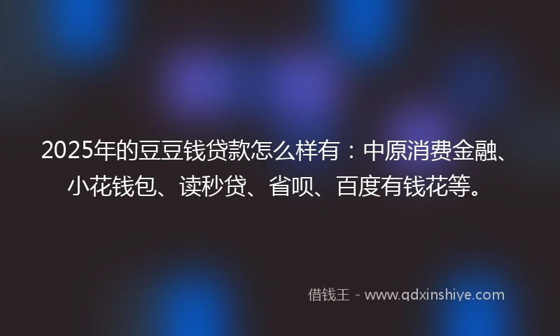 2025年的豆豆钱贷款怎么样有：中原消费金融、小花钱包、读秒贷、省呗、百度有钱花等。