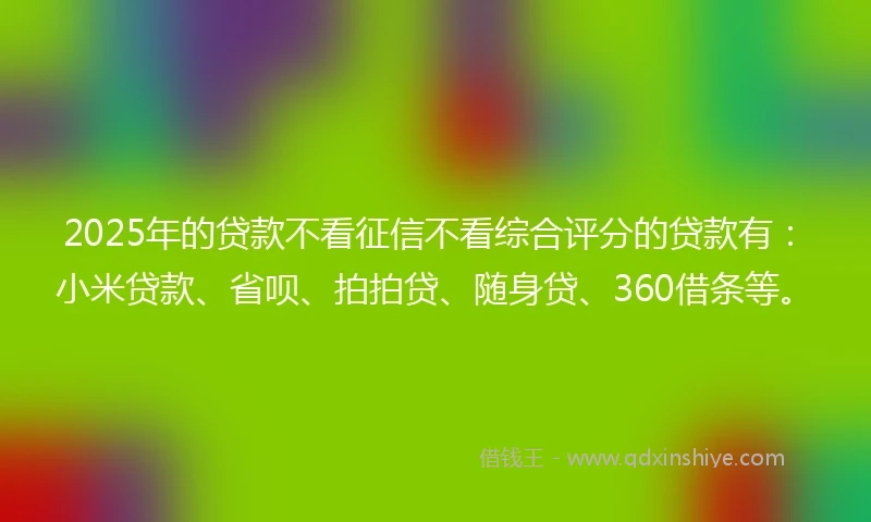 2025年的贷款不看征信不看综合评分的贷款有：小米贷款、省呗、拍拍贷、随身贷、360借条等。