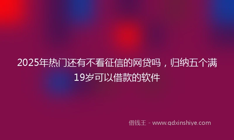 2025年热门还有不看征信的网贷吗，归纳五个满19岁可以借款的软件