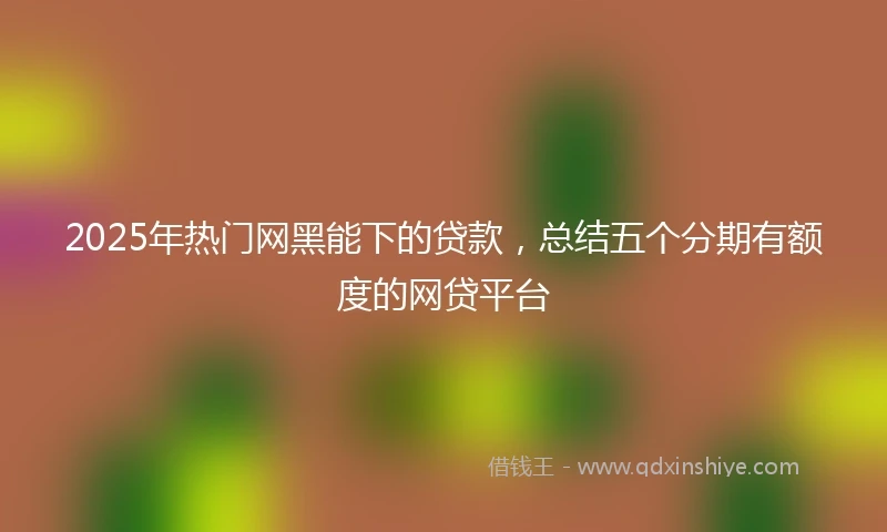 2025年热门网黑能下的贷款，总结五个分期有额度的网贷平台