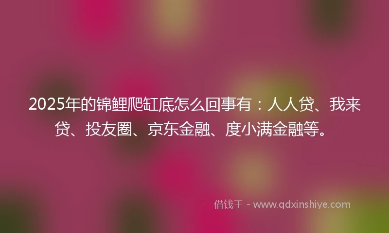 2025年的锦鲤爬缸底怎么回事有：人人贷、我来贷、投友圈、京东金融、度小满金融等。