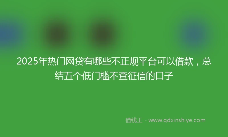 2025年热门网贷有哪些不正规平台可以借款，总结五个低门槛不查征信的口子
