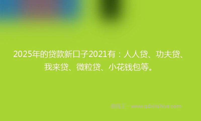 2025年的贷款新口子2021有：人人贷、功夫贷、我来贷、微粒贷、小花钱包等。