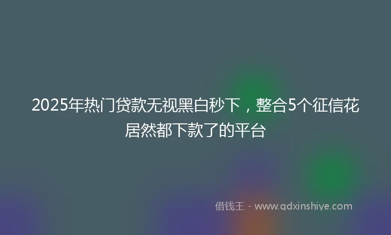 2025年热门贷款无视黑白秒下，整合5个征信花居然都下款了的平台