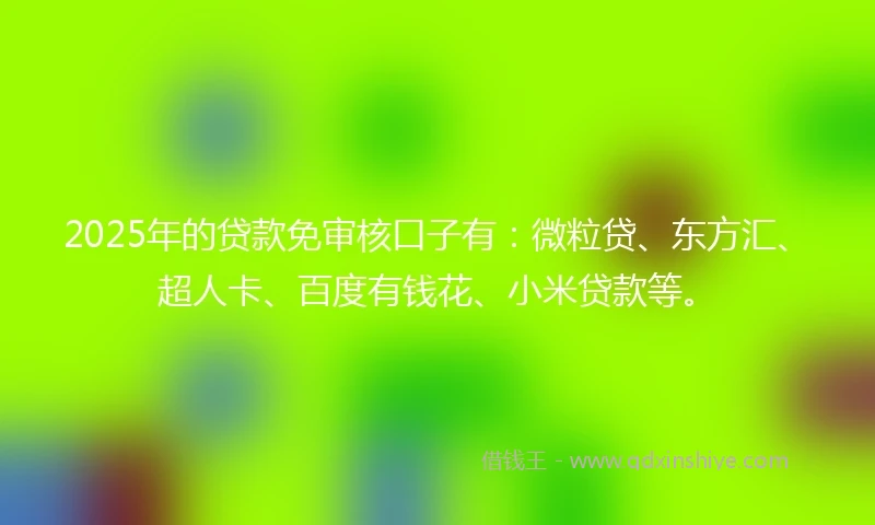 2025年的贷款免审核口子有：微粒贷、东方汇、超人卡、百度有钱花、小米贷款等。