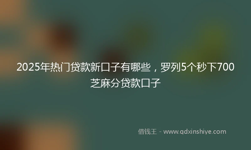 2025年热门贷款新口子有哪些，罗列5个秒下700芝麻分贷款口子
