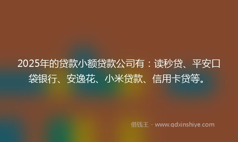 2025年的贷款小额贷款公司有:读秒贷、平安口袋银行、安逸花、小米贷款、信用卡贷等。