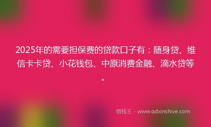 2025年的需要担保费的贷款口子有：随身贷、维信卡卡贷、小花钱包、中原消费金融、滴水贷等。